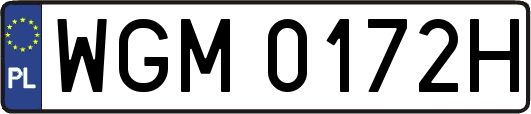 WGM0172H