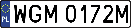 WGM0172M