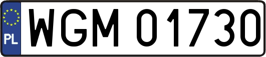 WGM01730
