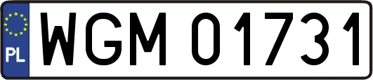 WGM01731