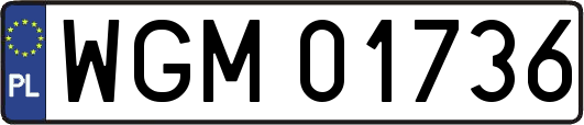 WGM01736