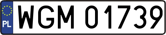 WGM01739