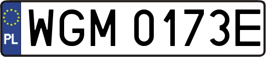 WGM0173E