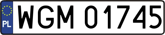 WGM01745