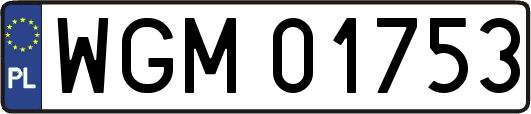 WGM01753