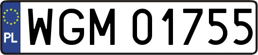 WGM01755