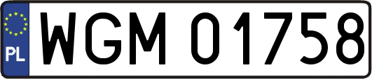 WGM01758