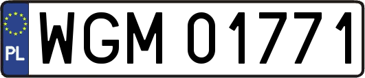 WGM01771