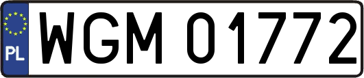WGM01772