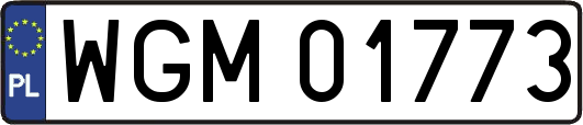WGM01773