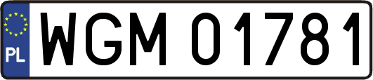 WGM01781