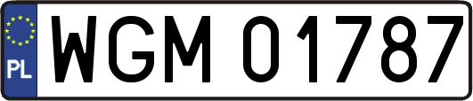 WGM01787