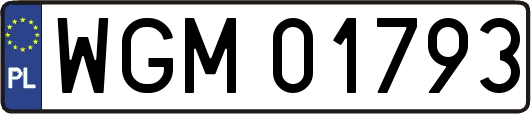 WGM01793