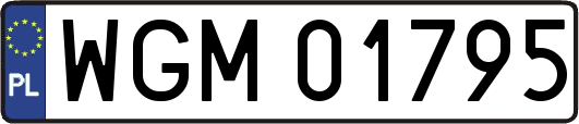 WGM01795