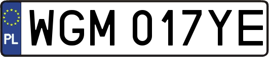 WGM017YE