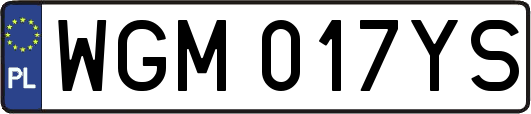 WGM017YS