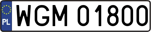 WGM01800