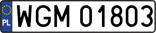 WGM01803