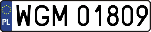 WGM01809