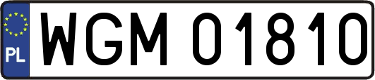 WGM01810