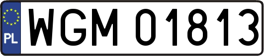 WGM01813