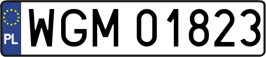 WGM01823