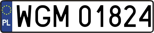 WGM01824