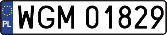WGM01829
