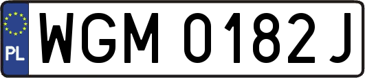 WGM0182J