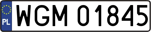 WGM01845