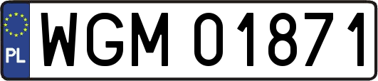 WGM01871