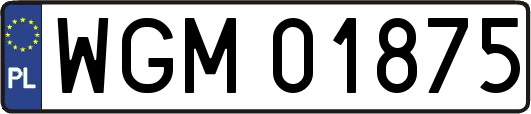 WGM01875
