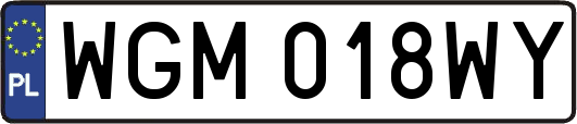 WGM018WY