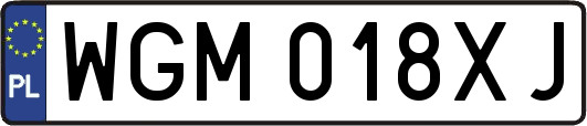 WGM018XJ