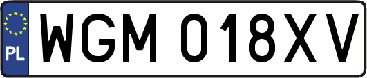 WGM018XV
