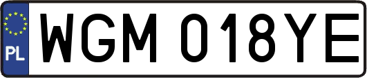 WGM018YE