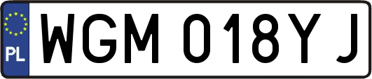 WGM018YJ