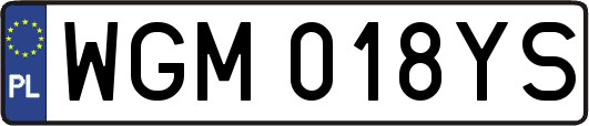 WGM018YS