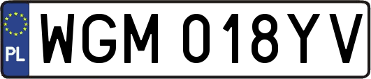 WGM018YV