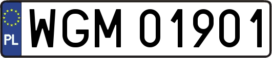 WGM01901