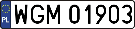 WGM01903