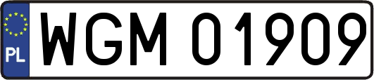 WGM01909