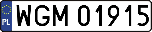 WGM01915