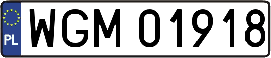 WGM01918