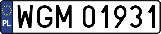 WGM01931