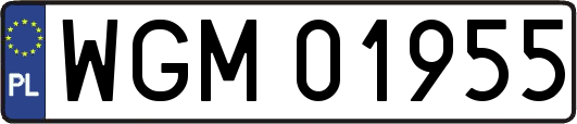 WGM01955
