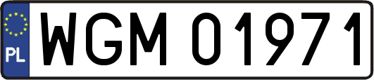 WGM01971