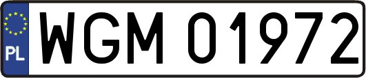WGM01972