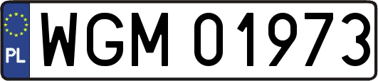 WGM01973
