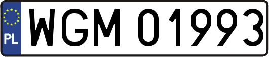 WGM01993